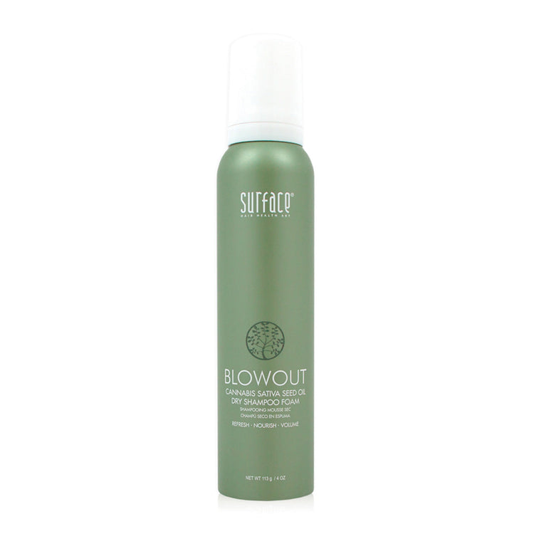 Dry Shampoo Foam 4oz Dry Shampoo Foam 4oz