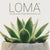 Loma