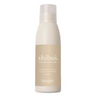 Everydayness Conditioner